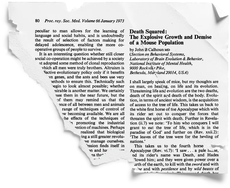 A torn and folded scrap from a scientific paper titled "Death Squared: The Explosive Growth and Demise of a Mouse Population" by John B Calhoun MD
        The subtitle reads: (Section on Behavioral Systems, Labaratory of Brain Evolution & Behaviour, National Institute of Mental Health, Maryland, USA)
        The paper has two columns of small text and begins:
        I shall largely speak of mice, but my thoughts are on man, on healing, on life and it’s evolution.
        Threatening life adn evolution are the two deaths, death of the spirit and death of the body.
        